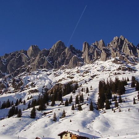 Appartementhaus Hochkoenig 1- Birgkar Mühlbach am Hochkönig Екстериор снимка