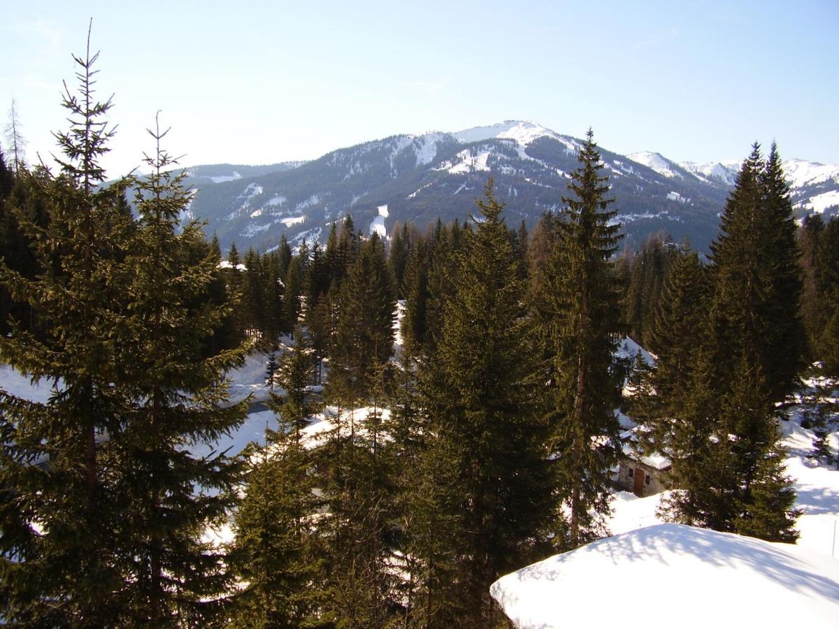 Appartementhaus Hochkoenig 1- Birgkar Mühlbach am Hochkönig Екстериор снимка