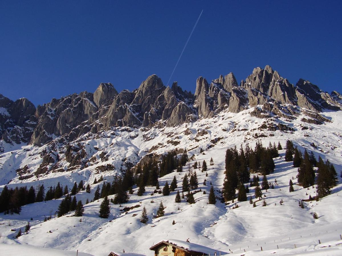 Appartementhaus Hochkoenig 1- Birgkar Mühlbach am Hochkönig Екстериор снимка